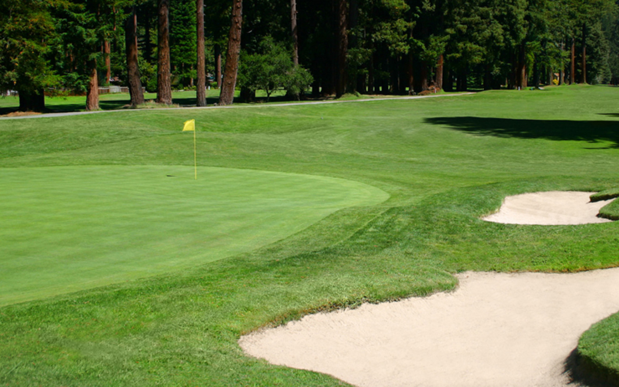 Golf Course in Santa Rosa, CA  Public Golf Course Near Monte Rio